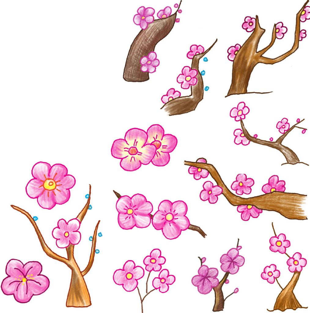梅花简笔画