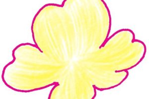 樱花简笔画