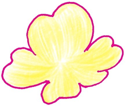 樱花简笔画