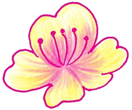 樱花简笔画