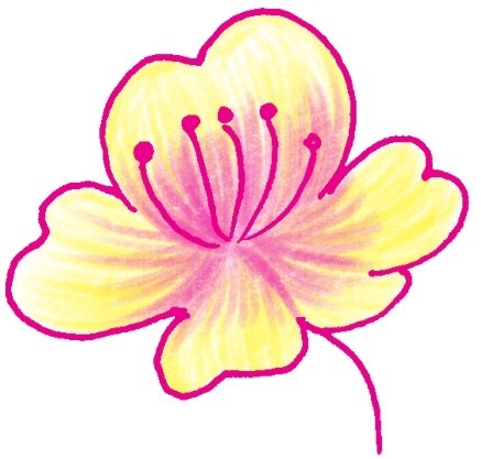 樱花简笔画