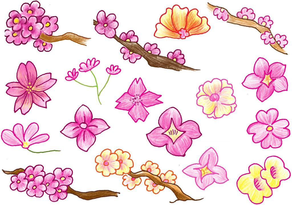 樱花简笔画