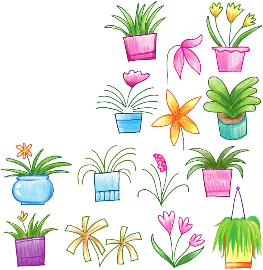兰花简笔画