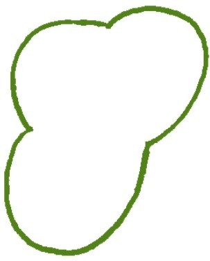 三叶草简笔画