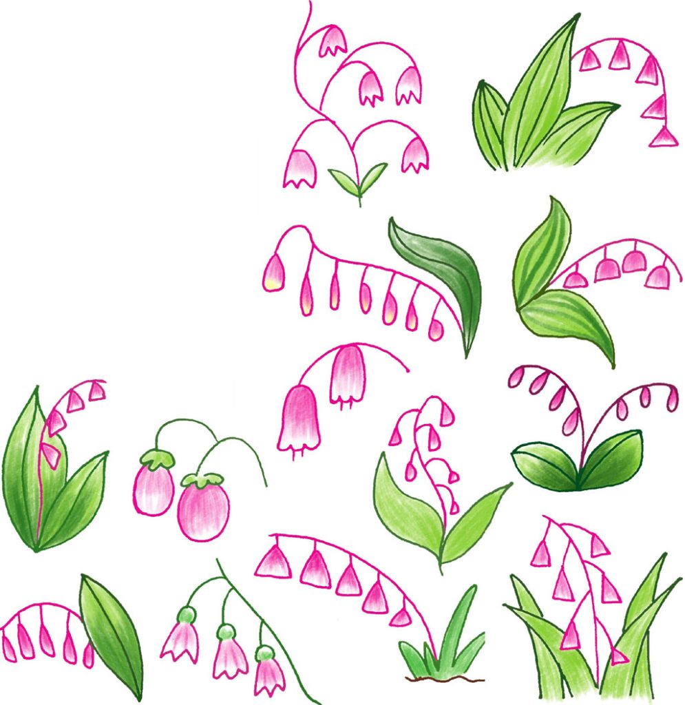 铃兰简笔画