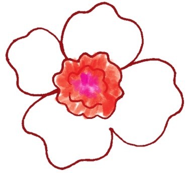 牡丹简笔画