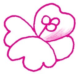山茶花简笔画