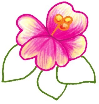 山茶花简笔画