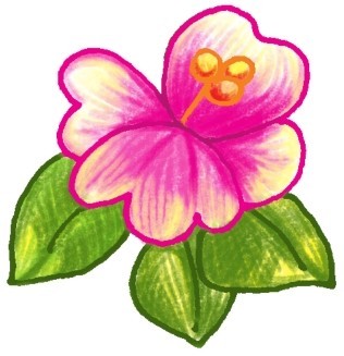 山茶花简笔画