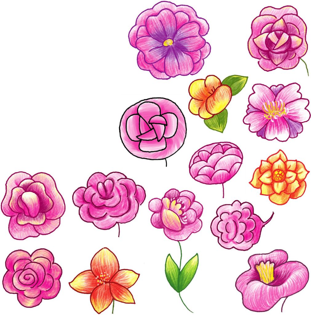 山茶花简笔画