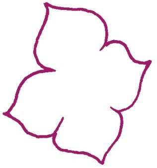 桔梗简笔画