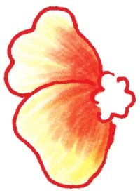木槿简笔画