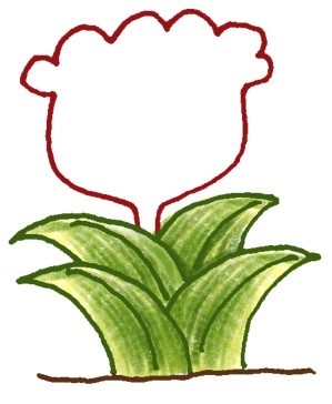 鸡冠花简笔画
