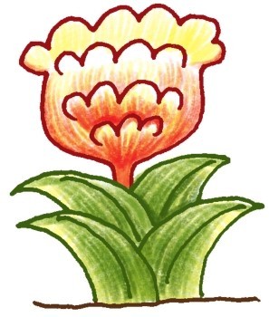 鸡冠花简笔画