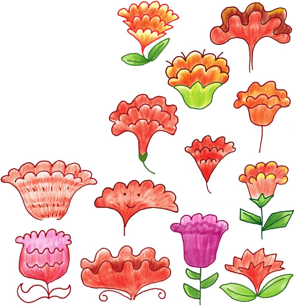 鸡冠花简笔画