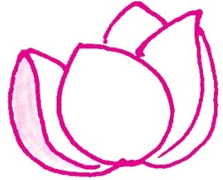 银莲花简笔画