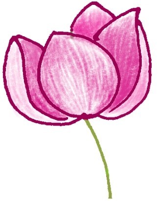 银莲花简笔画