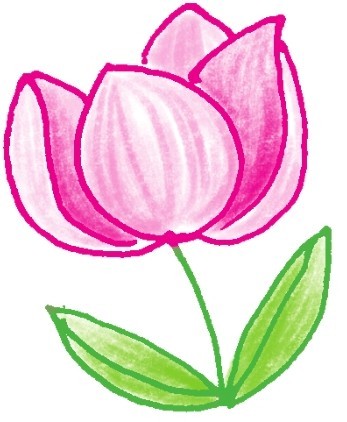 银莲花简笔画