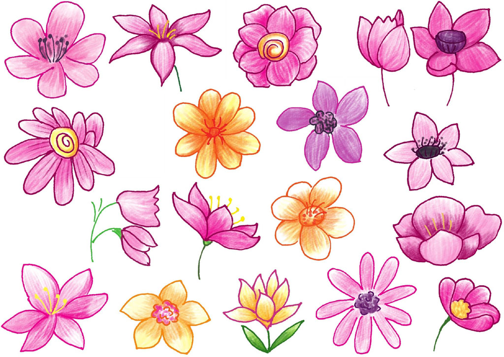 银莲花简笔画