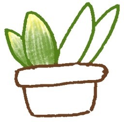 风信子简笔画