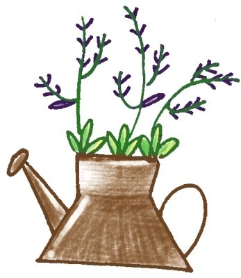 薰衣草简笔画