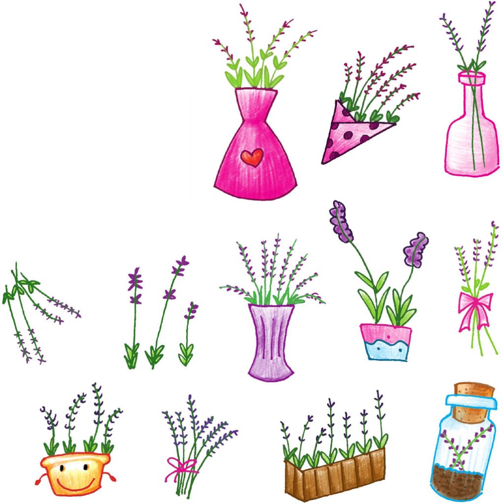 薰衣草简笔画