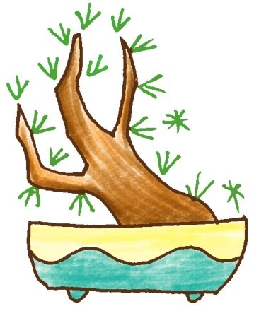 盆景简笔画