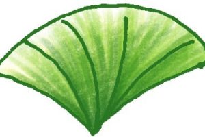 叶子简笔画