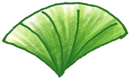 叶子简笔画