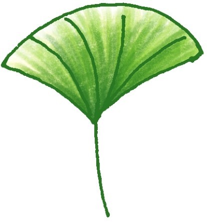 叶子简笔画