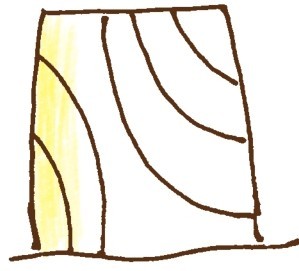 树桩简笔画