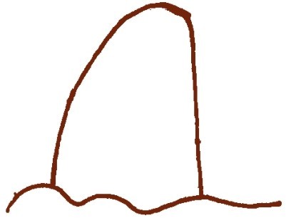 枫树简笔画