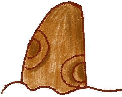 枫树简笔画