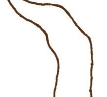 松树简笔画