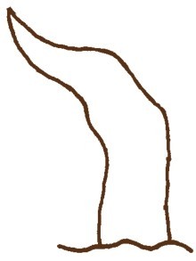 松树简笔画