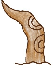 松树简笔画
