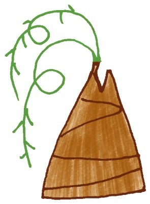 柳树简笔画