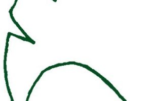 银杏简笔画