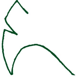 银杏简笔画
