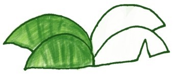 椰子树简笔画