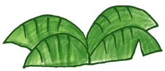 椰子树简笔画