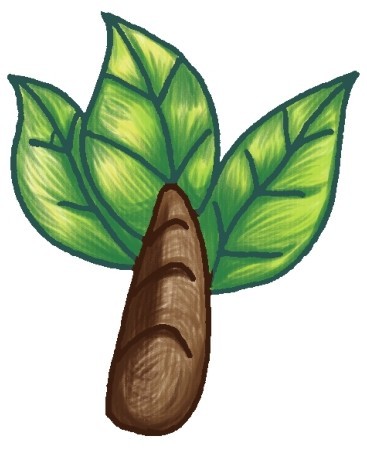 芭蕉树简笔画