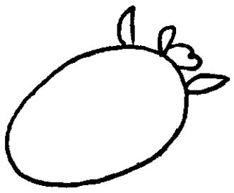 斑马简笔画