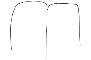 柳树简笔画