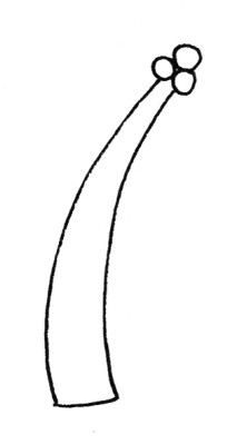 椰子树简笔画