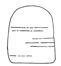 猴面包树简笔画