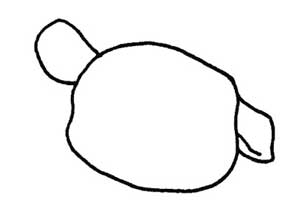 仓鼠简笔画