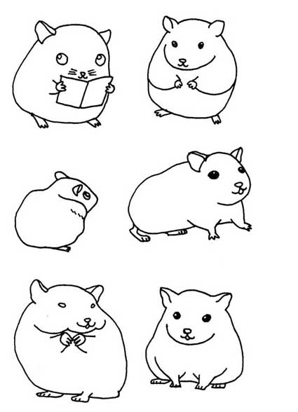 龙猫简笔画