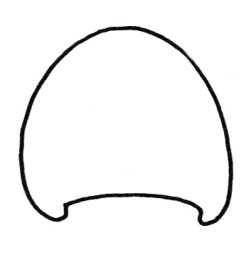 刺猬简笔画