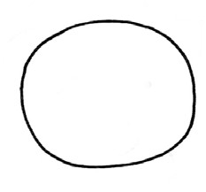 小猪简笔画